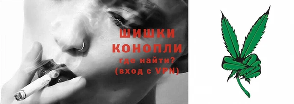 spice Аркадак