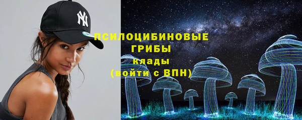 прущие крисы Арсеньев