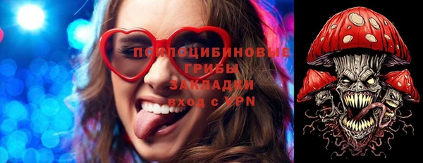spice Аркадак