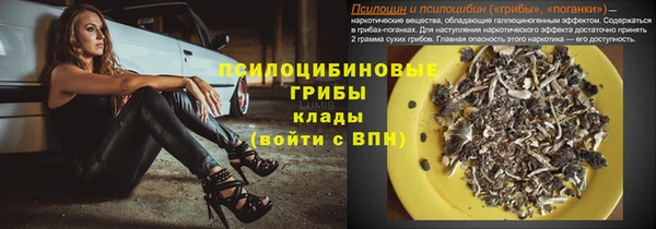 spice Аркадак