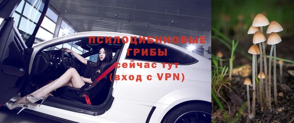 прущие крисы Арсеньев
