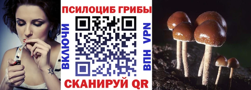 Галлюциногенные грибы мицелий  Константиновск 